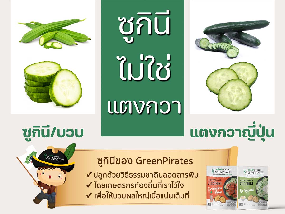 ซูกินีของ GreenPirates ปลูกด้วยวิธีธรรมชาติปลอดสารพิษ โดยเกษตรกรท้องถิ่นที่เราไว้ใจให้ดูแล บวบให้ผลใหญ่เนื้อแน่นเต็มที่